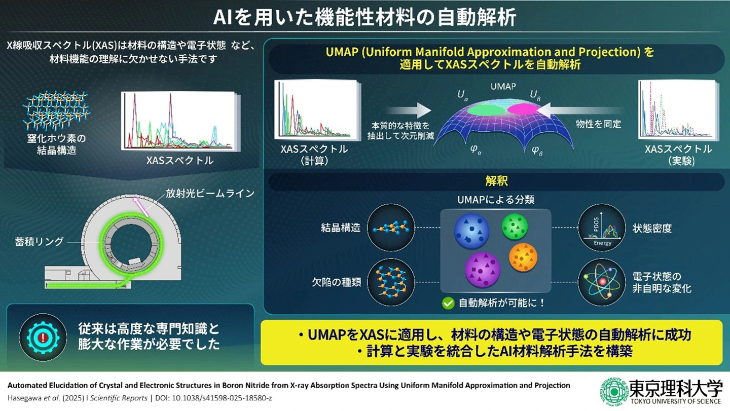 AIを用いた機能性材料の自動解析