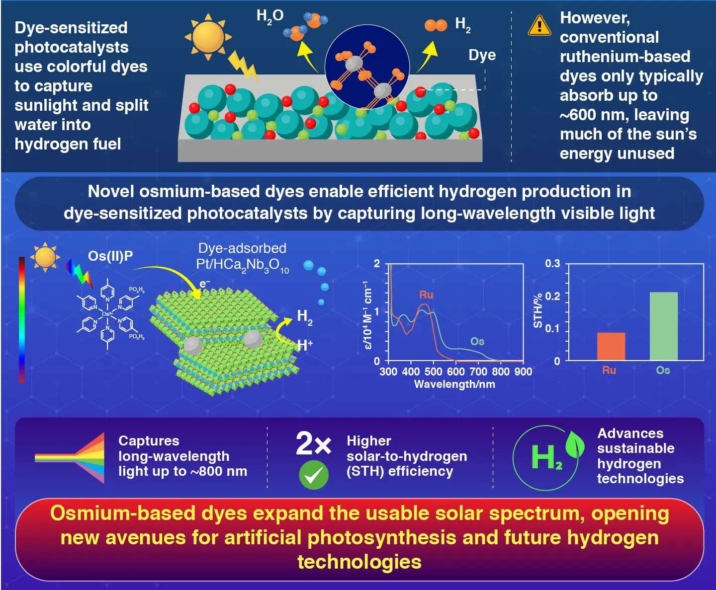 Charge Transfer Dynamics in Dye-Sensitized Photocatalysts Using Metal Complex Sensitizer with Long-Wavelength Visible Light Absorption Based on Singlet−Triplet Excitation