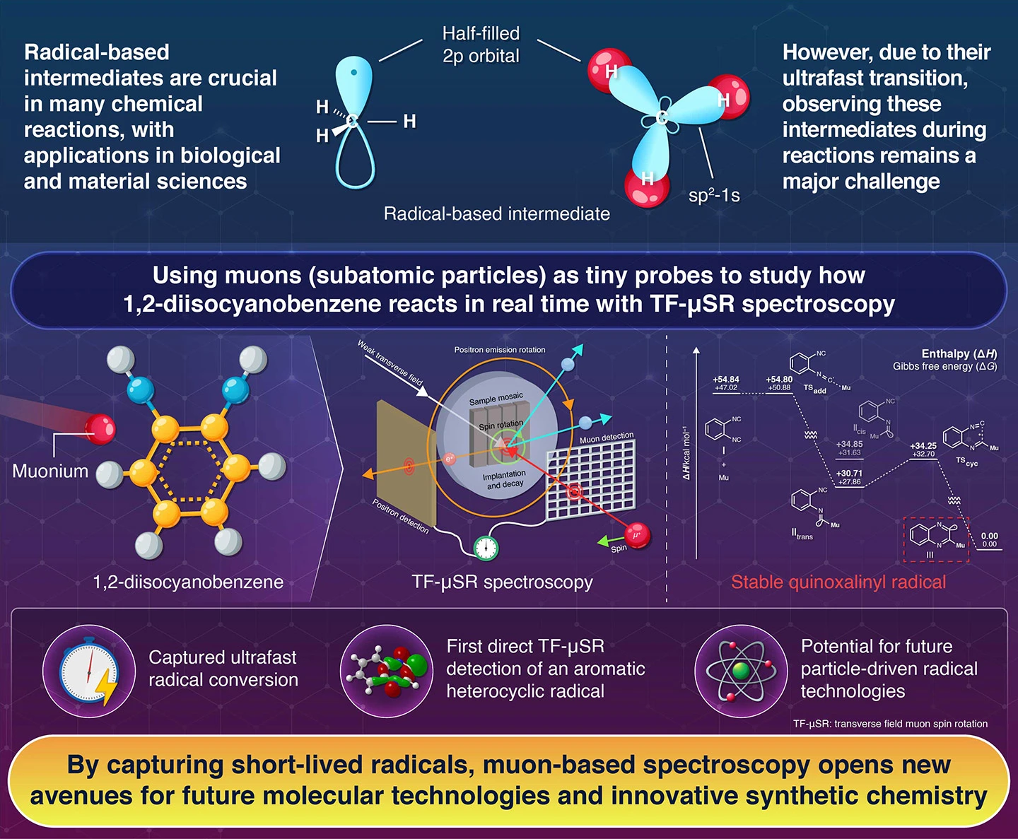 Muonium-Driven Radical Formation Tracked in Real time Using TF-µSR