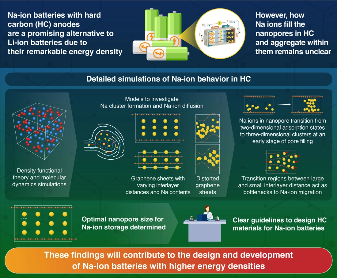 Understanding the physics at the anode of sodium-ion batteries