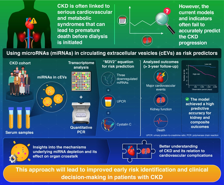 Circulating Extracellular Vesicle MicroRNAs as Predictive Biomarkers for Kidney and Cardiovascular Events