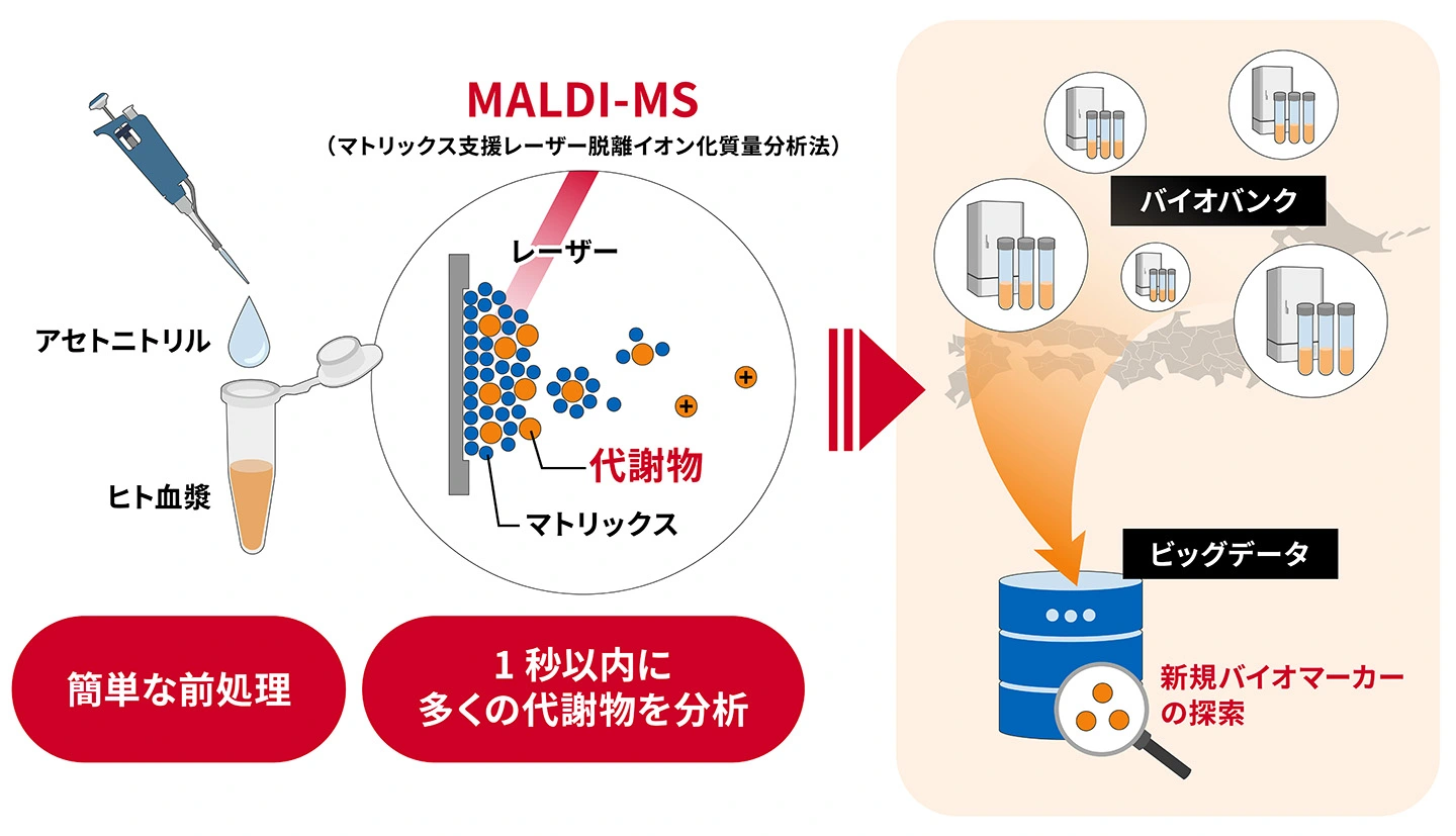 研究の概要図