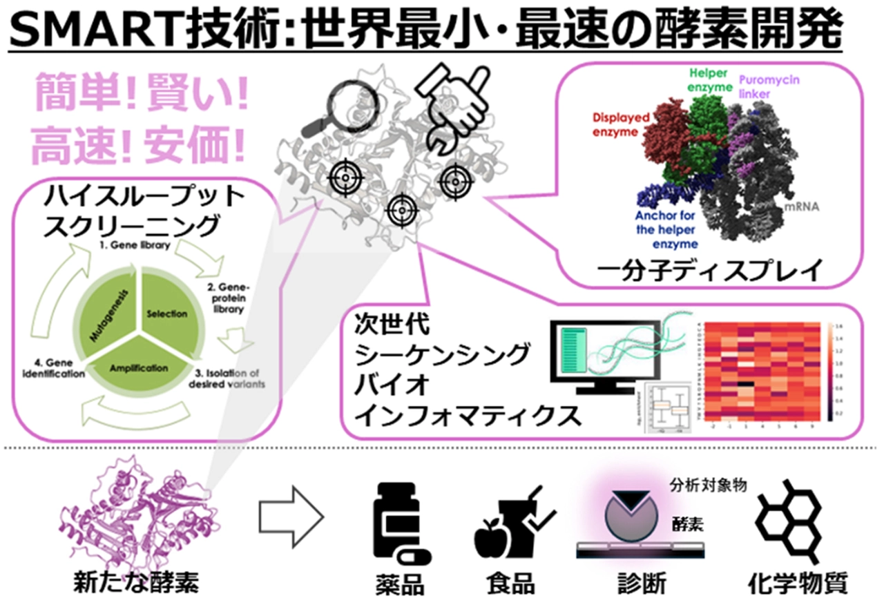 概要図
