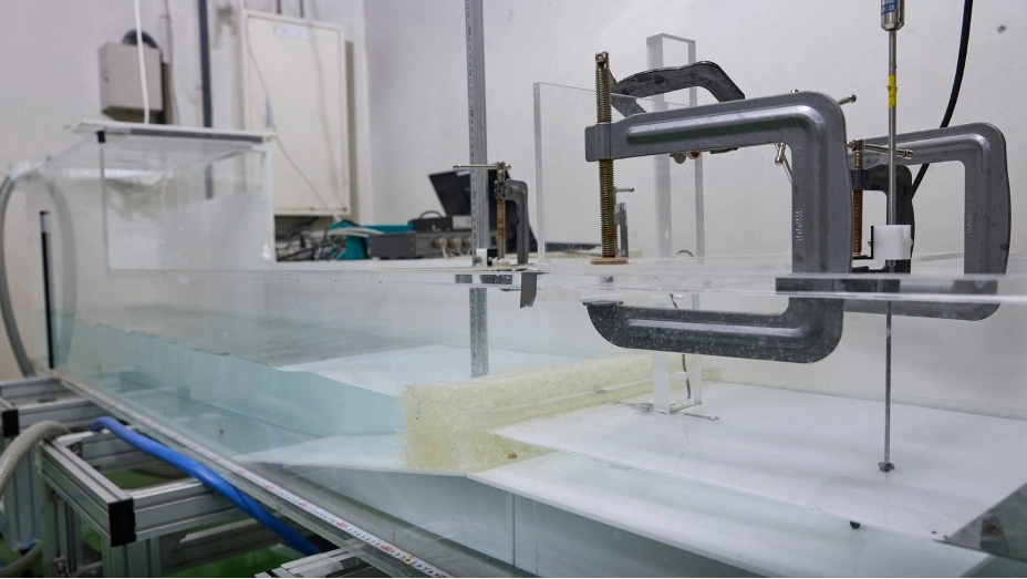 Experiment photography: Experimental setup simulating urban coastal protection forests