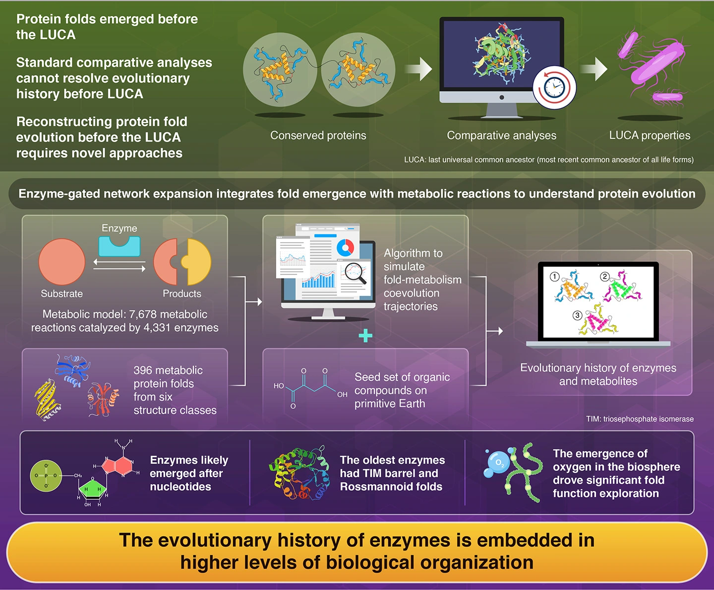 The history of enzyme evolution embedded in metabolism