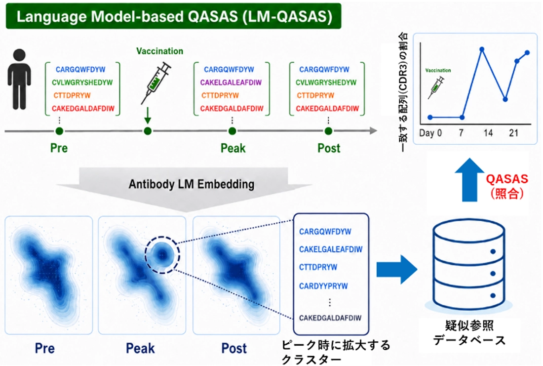 Language Model-based (QASAS)